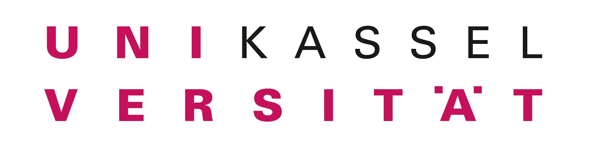 Logo Universitaet Kassel