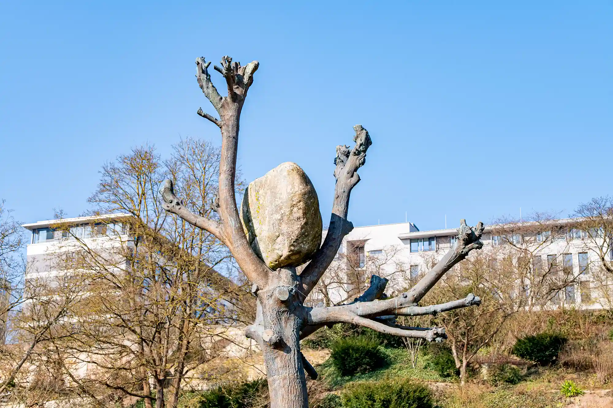 Documenta-Kunst Stein auf Baum